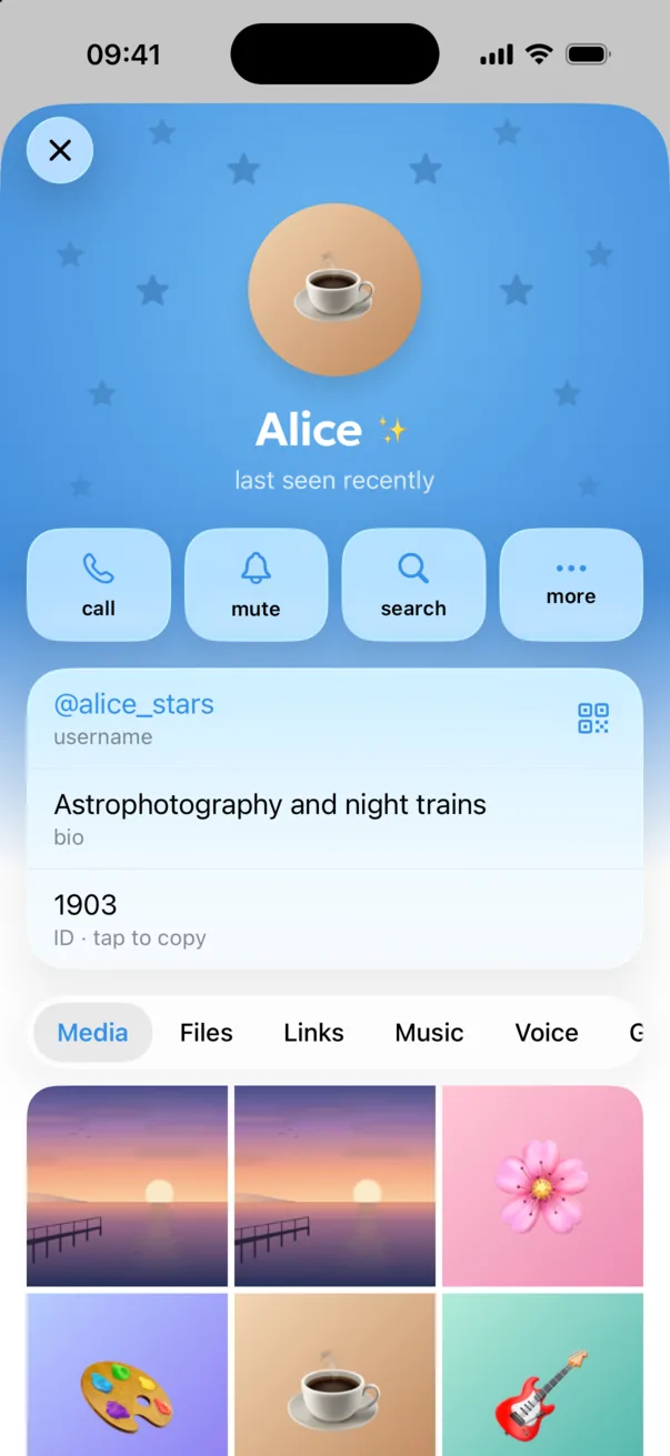 Omut : profil d’un contact avec couleur, motif d’étoiles et statut