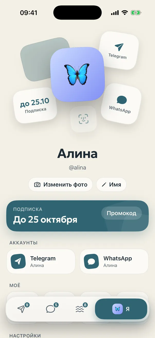 Omut: profile — all accounts and the subscription in one place